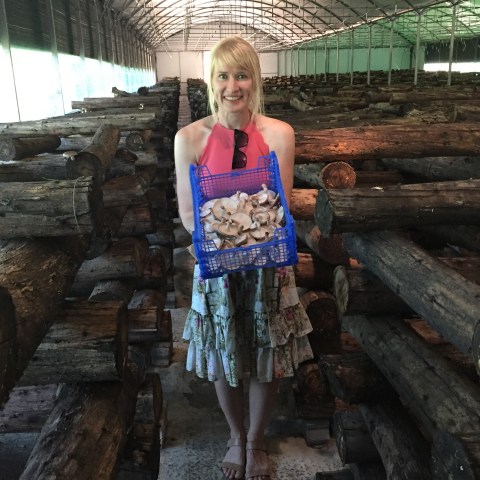 enjoying a tour in a mushroom farm