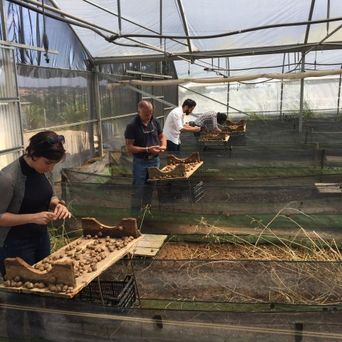 Snail farm tour in lisbon