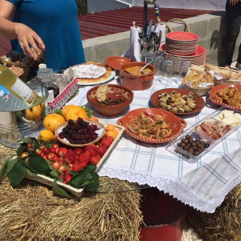 enjoying the snail tasting experience