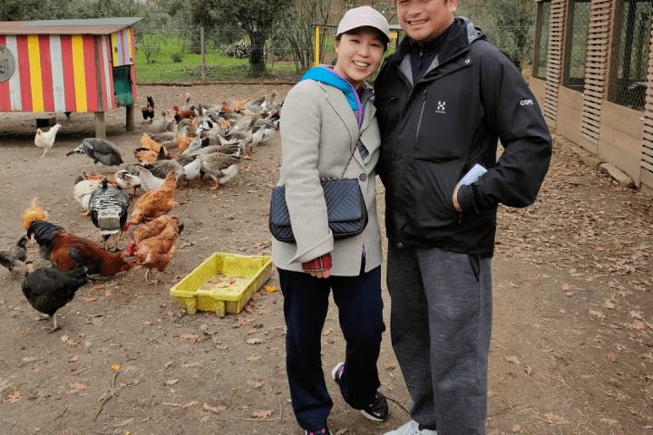 The Shepherd's Cheese Experience