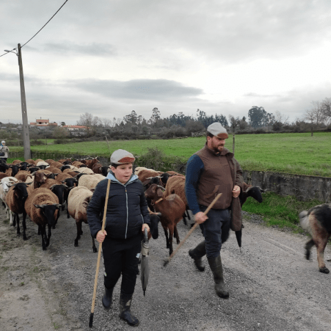 The Shepherd's Cheese Experience