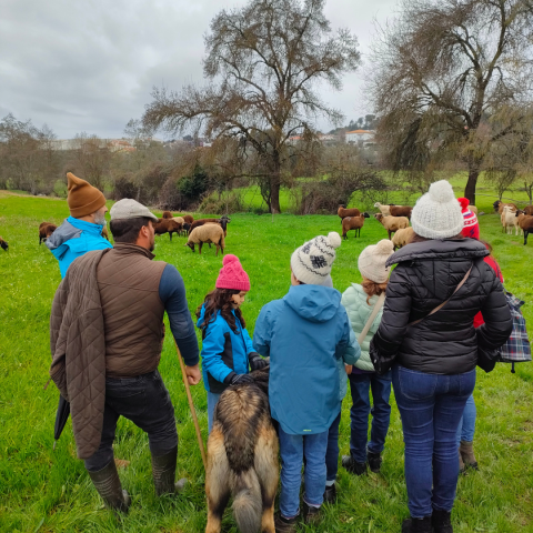 The Shepherd's Cheese Experience