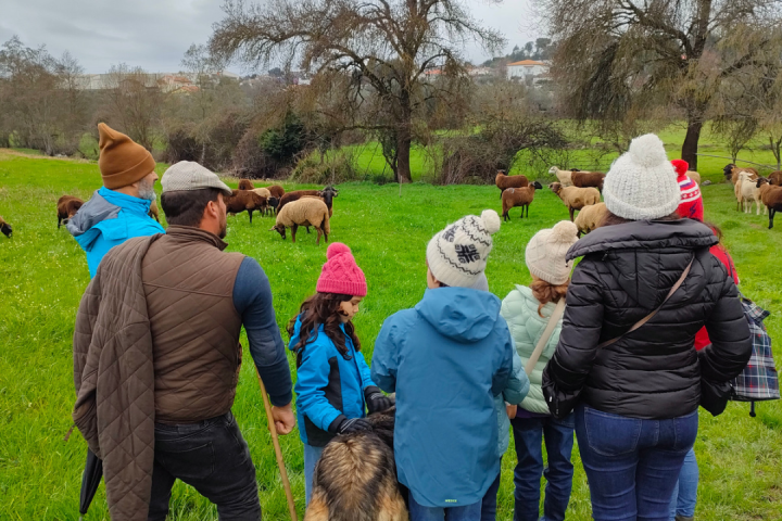 The Shepherd's Cheese Experience