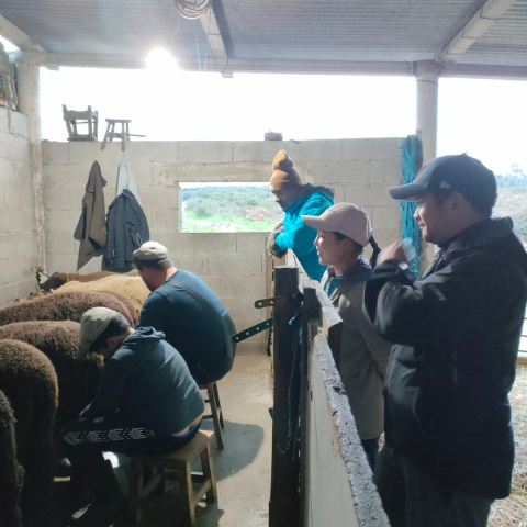 The Shepherd's Cheese Experience