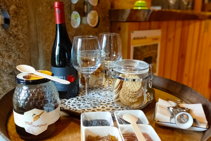 The Shepherd's Cheese Experience