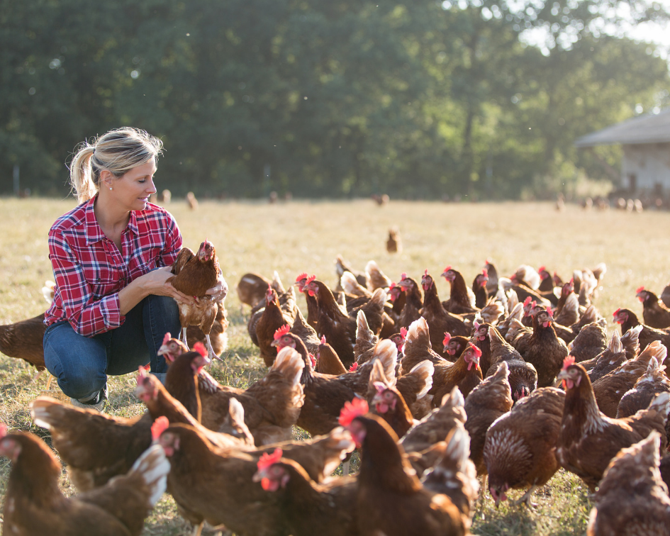 Tours in porto, Autochthonous Breeds Farm Tour