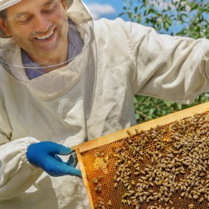 people enjoying Beekeeping Experience