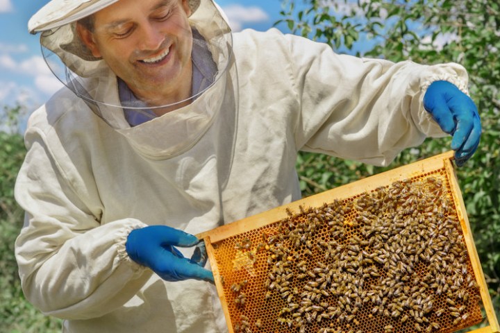 people enjoying Beekeeping Experience