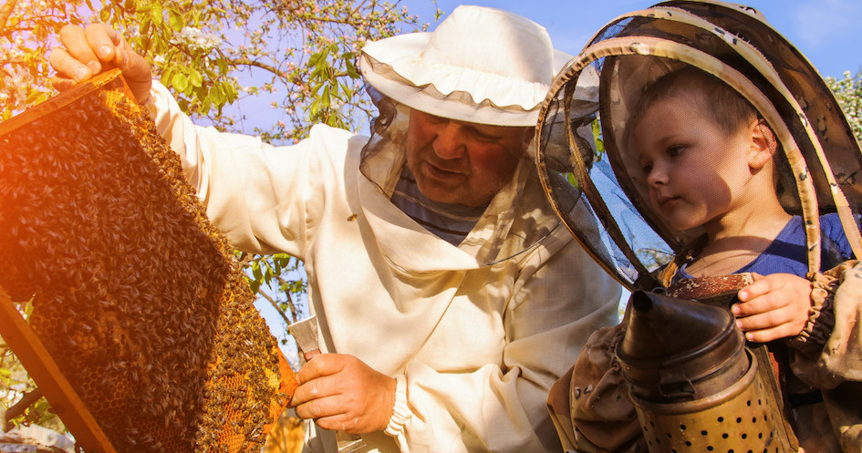Beekeeping Experience Image 3 people enjoying Beekeeping Experience