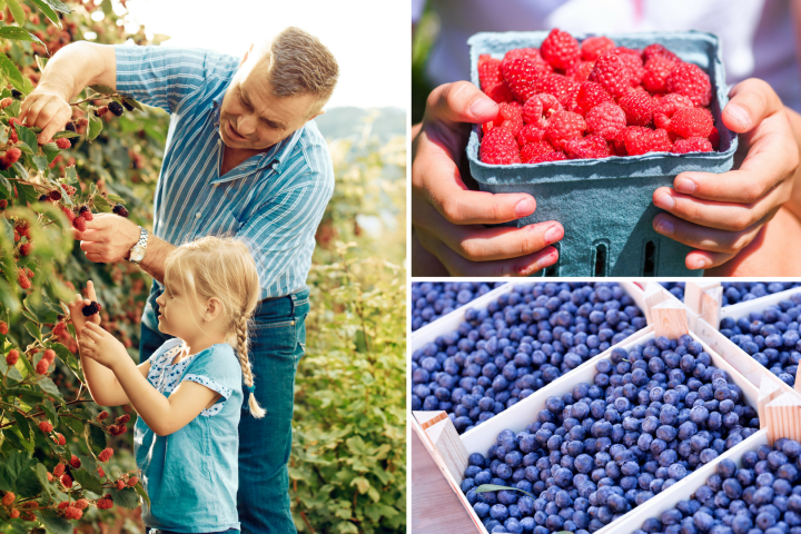 Sintra and lisbon tours