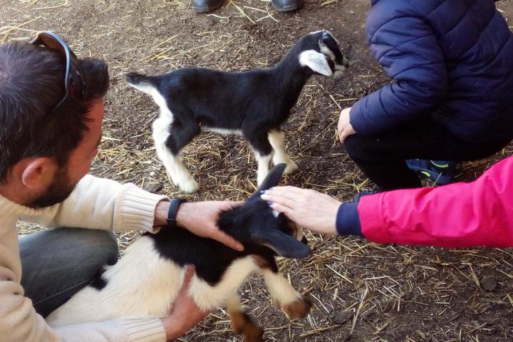 Follow the Shepherd tour