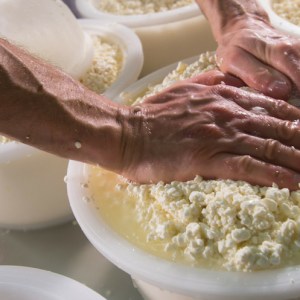 making cheese in viseu