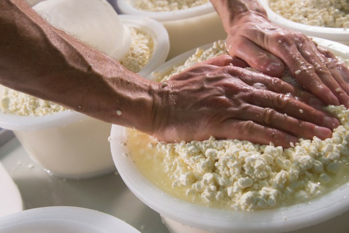 making cheese in viseu