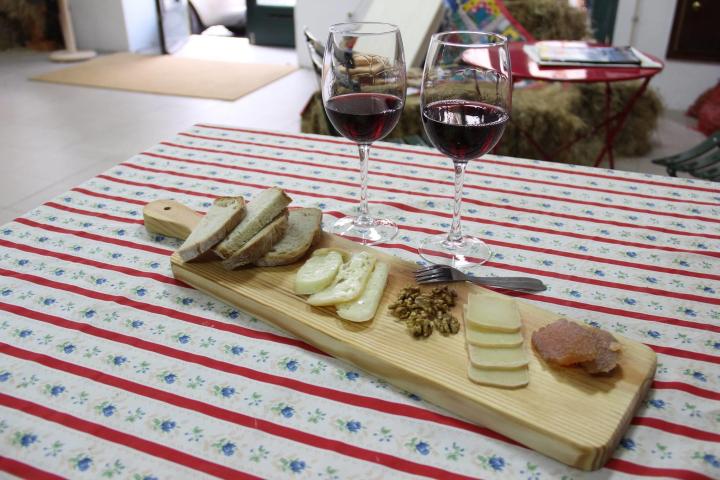 cheese and bread table tasting in viseu