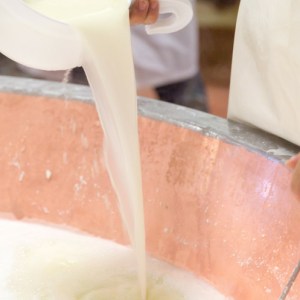 enjoying the cheese making class in Viseu