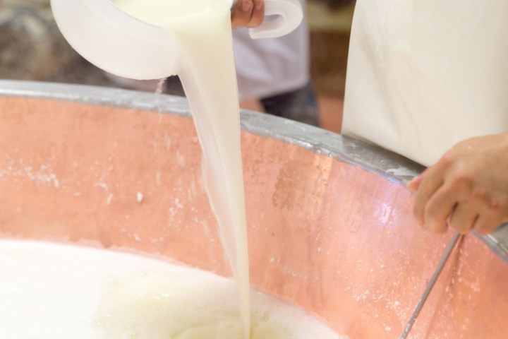 enjoying the cheese making class in Viseu