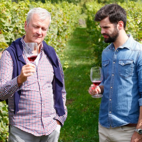 tasting wine in a vineyard tour