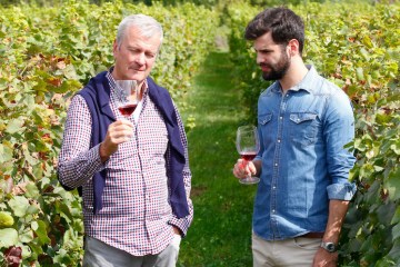 tasting wine in a vineyard tour