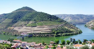 Douro Wine valley tour in porto