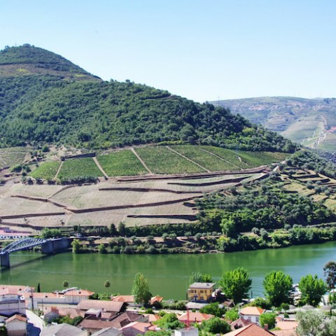 Douro Wine valley tour in porto
