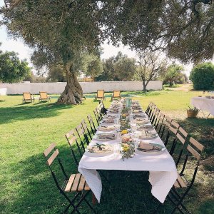 lunch in the vineyard