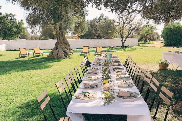 lunch in the vineyard