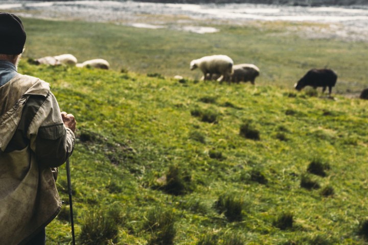 Follow the Shepherd tour