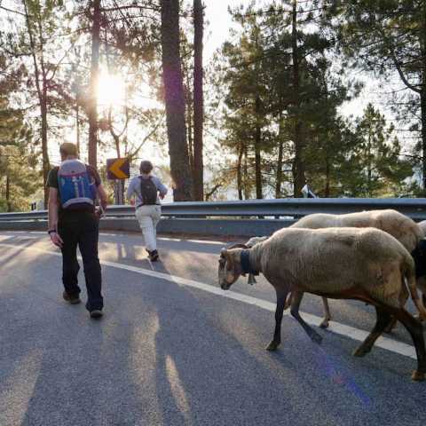 Serra da estrela tours