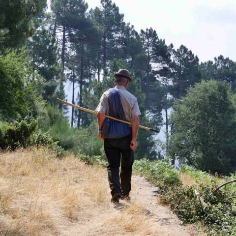 Serra da Estrela tours