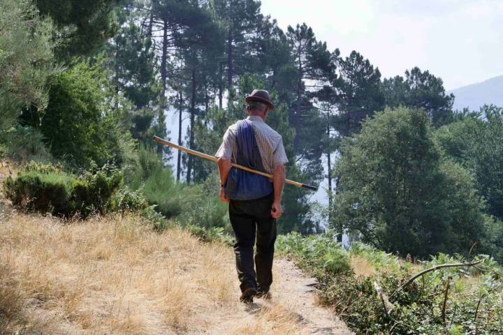 Serra da Estrela tours