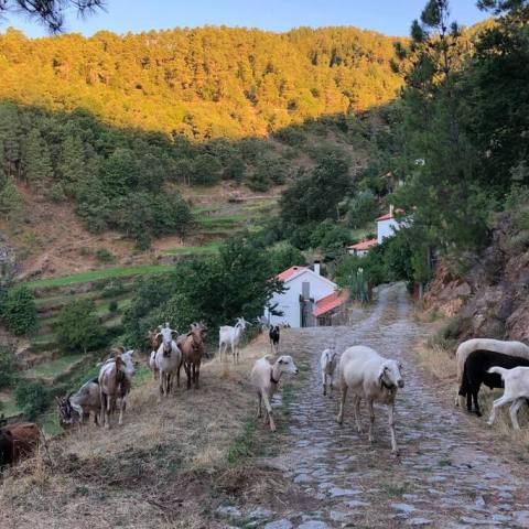 Serra da estrela tours