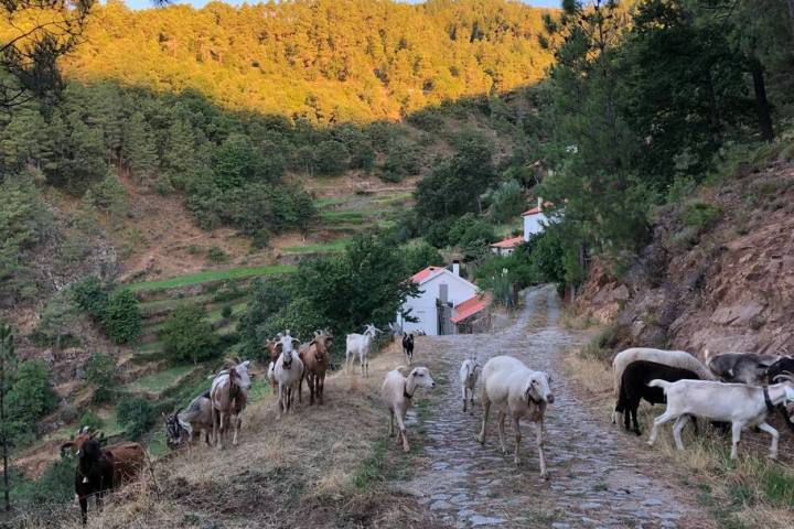 Serra da estrela tours
