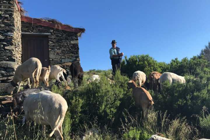 Serra da Estrela Tours