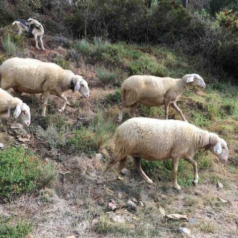 Serra da Estrela Tours