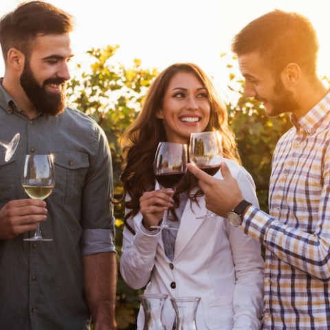 celebrating with wine in lisbon tour