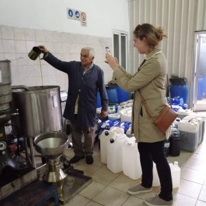 olive oil farm tour