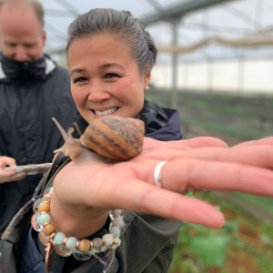 Snail farm tour