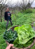 organic farm tours
