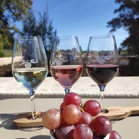 vineyard tour portugal