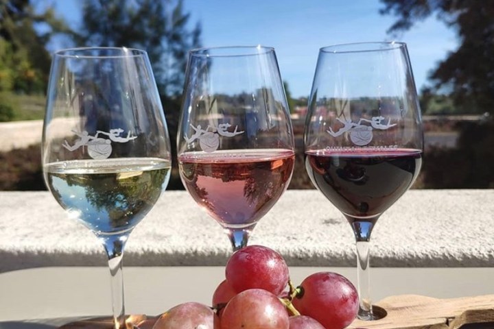 vineyard tour portugal