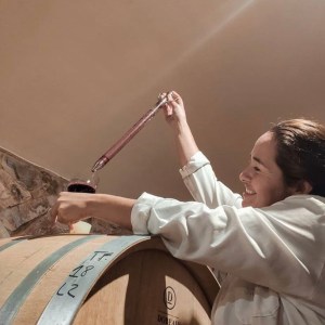 vineyard tour portugal