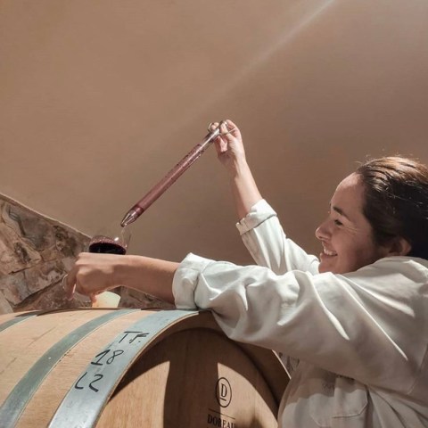 vineyard tour portugal