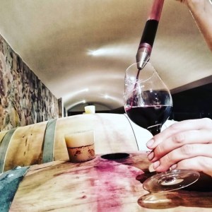 vineyard tour portugal