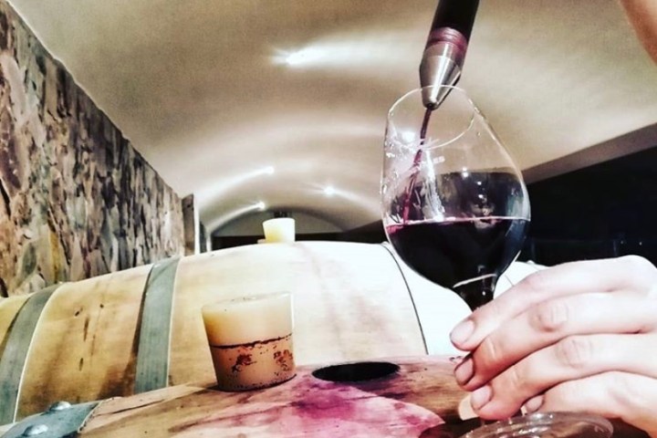 vineyard tour portugal