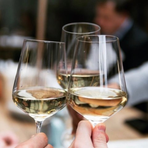 vineyard tour portugal