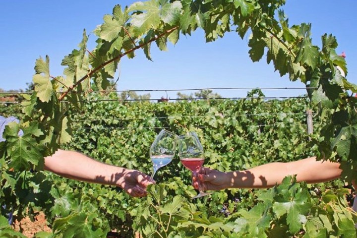 vineyard tour portugal