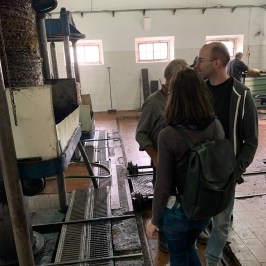 Olive oil farm tour