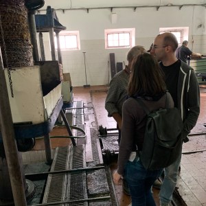 Olive oil farm tour