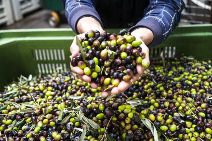 Olives
