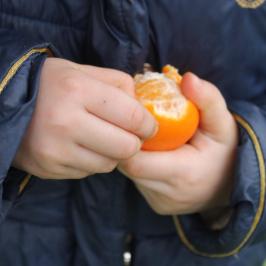 kid eats orange